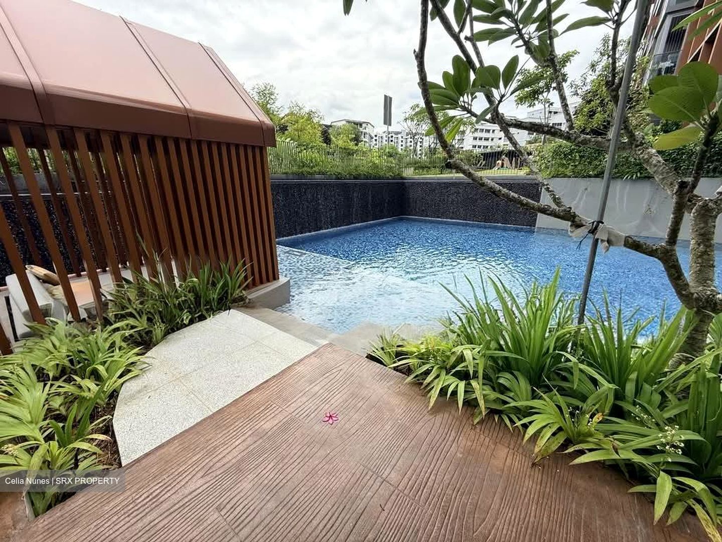 Amo Residence (D20), Apartment #556200631